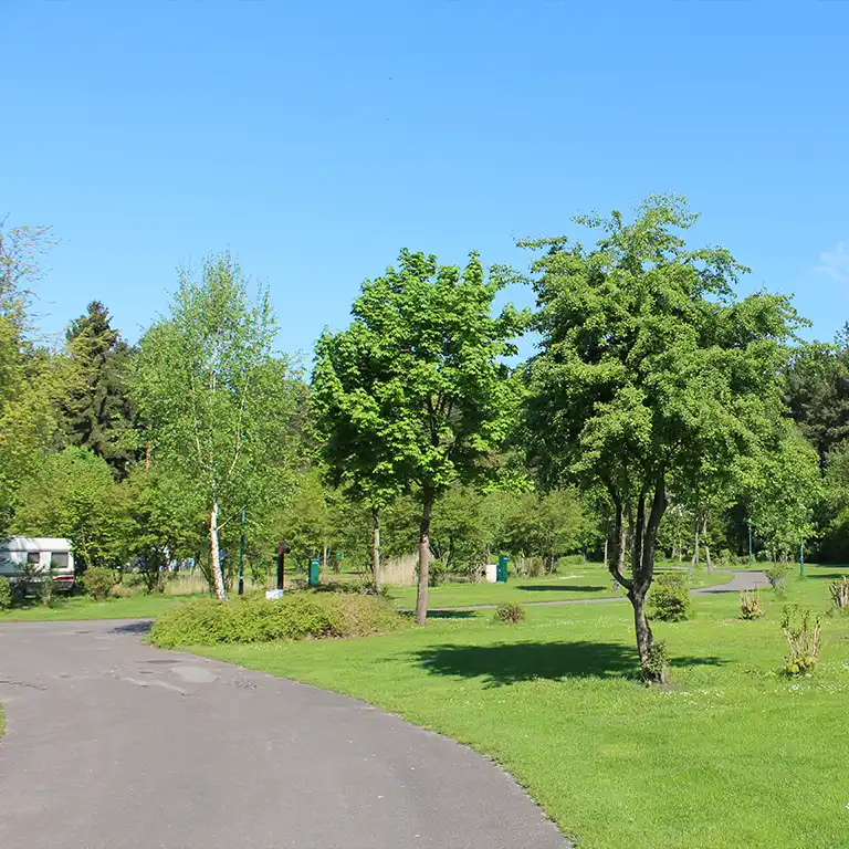 Detailplan runterladen Ruhiger, naturnaher Campingplatz mit Bäumen, Rasenflächen und gepflastertem Weg