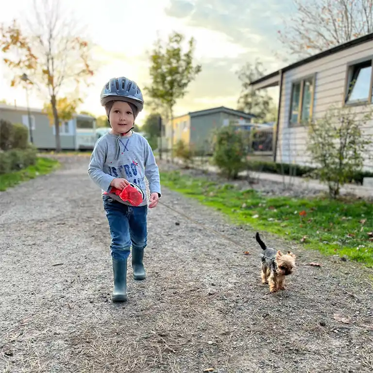mehr erfahren: Urlaub mit Hund Kleines Kind mit Fahrradhelm geht mit einem kleinen Hund an der Leine zwischen Chalets im Südsee-Camp spazieren