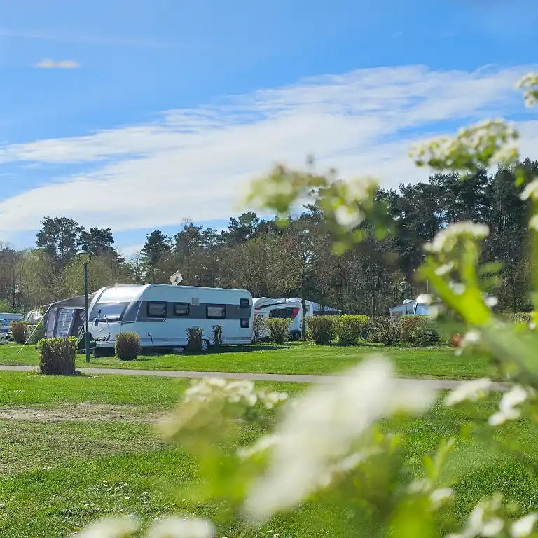 Detailplan runterladen Grüne Stellplätze im Gebiet Sommerland des Südsee-Camps mit Wohnwagen und Vorzelt, umgeben von gepflegten Hecken und Bäumen – familienfreundlicher Campingbereich mit Hund erlaubt.