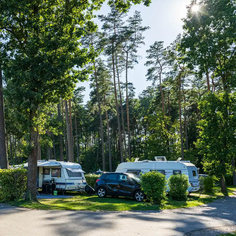 Detailplan runterladen Wohnwagenstellplätze im Südsee-Camp mit Autos und Vorzelten am Waldrand unter hohen Kiefern