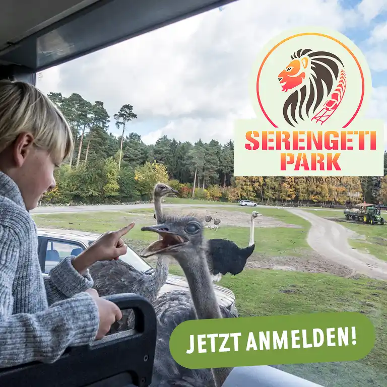 Kind im Safari-Bus im Serengeti-Park streckt neugierig den Finger zu einem Strauß, der den Kopf ins Fahrzeug steckt – naturnahes Tiererlebnis für Familien