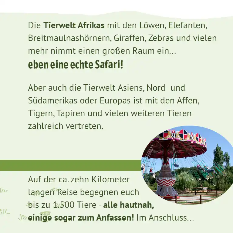Bunte Tierwelt und Safari im Serengeti-Park – Textinformation über Tiere Afrikas, Asiens und Amerikas sowie Attraktionen für Kinder, mit Karussell im Bildausschnitt