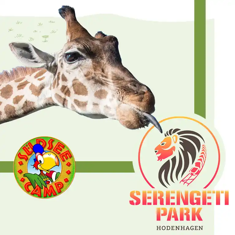 Giraffe im Serengeti-Park Hodenhagen – ein beliebtes Ausflugsziel in der Nähe des Südsee-Camps, mit Logos beider Orte