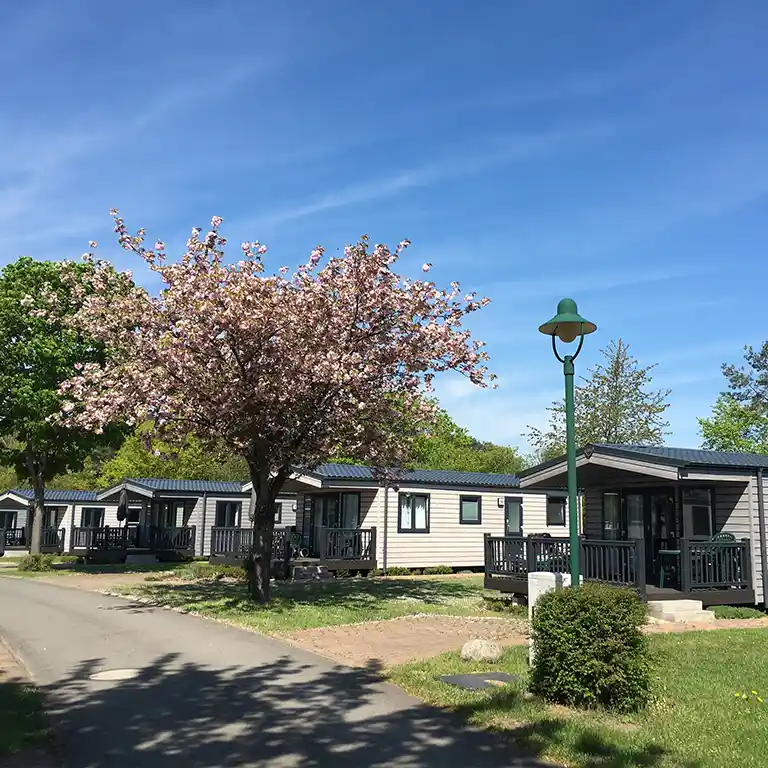 Reihe moderner Mobilheime vom Typ 2+ im Südsee-Camp, mit überdachten Veranden, blühendem Kirschbaum im Vordergrund und blauem Himmel an einem sonnigen Frühlingstag.