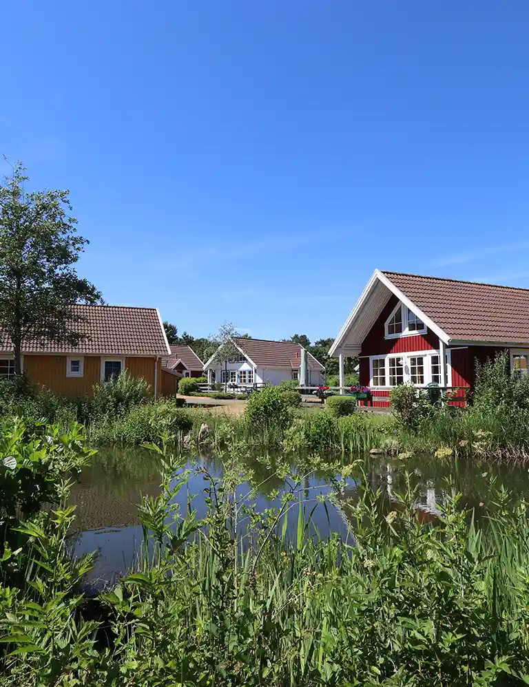 Urlaub im Feriendorf Skandinavische Ferienhäuser im Südsee-Camp an einem sonnigen Tag, mit Blick auf einen kleinen Teich im Vordergrund und üppiger Vegetation – ruhige Ferienidylle in der Natur.
