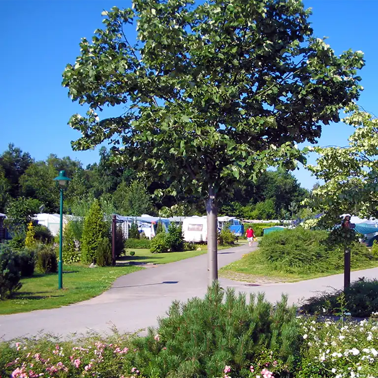 Learn more Am Reiterhof