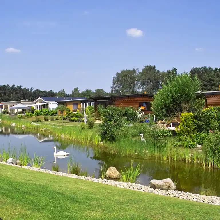 Learn more Schwanensee