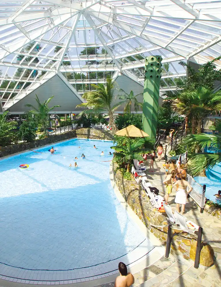 ab ins Schwimmbad! Tropisch gestaltetes Hallenbad mit Palmen, Kuppeldach und Badenden