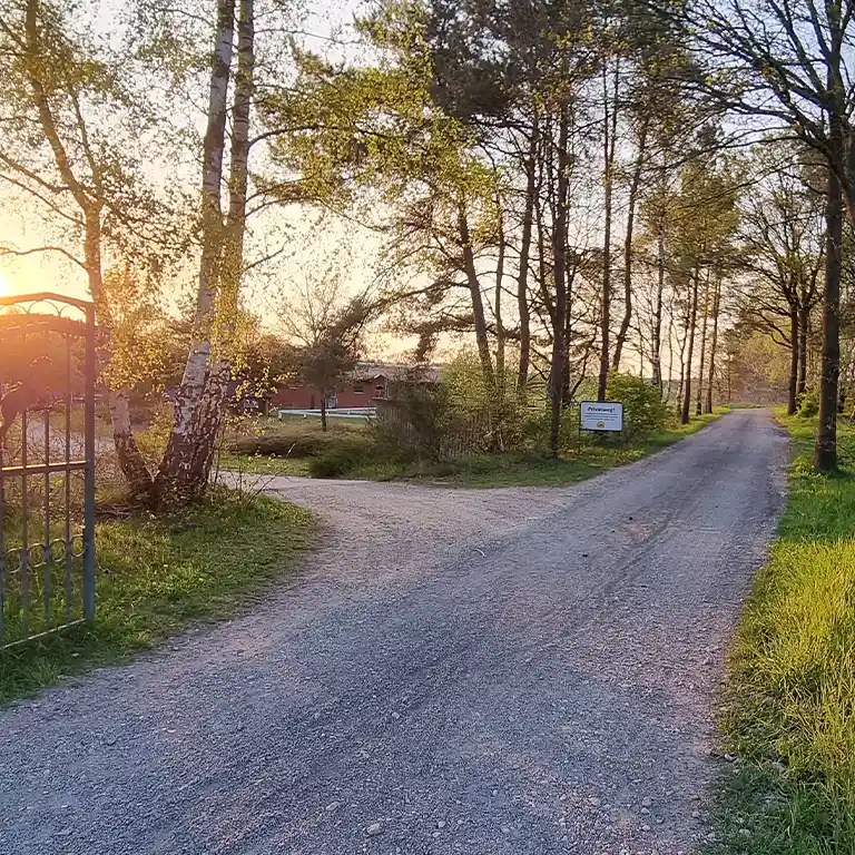 Ein idyllischer Weg führt durch eine von Bäumen gesäumte Allee zum Reitstall im Südsee-Camp. Die Abendsonne scheint durch das Grün und verleiht dem Pfad eine warme, einladende Atmosphäre – perfekt für einen Familienausflug zum Ponyreiten.