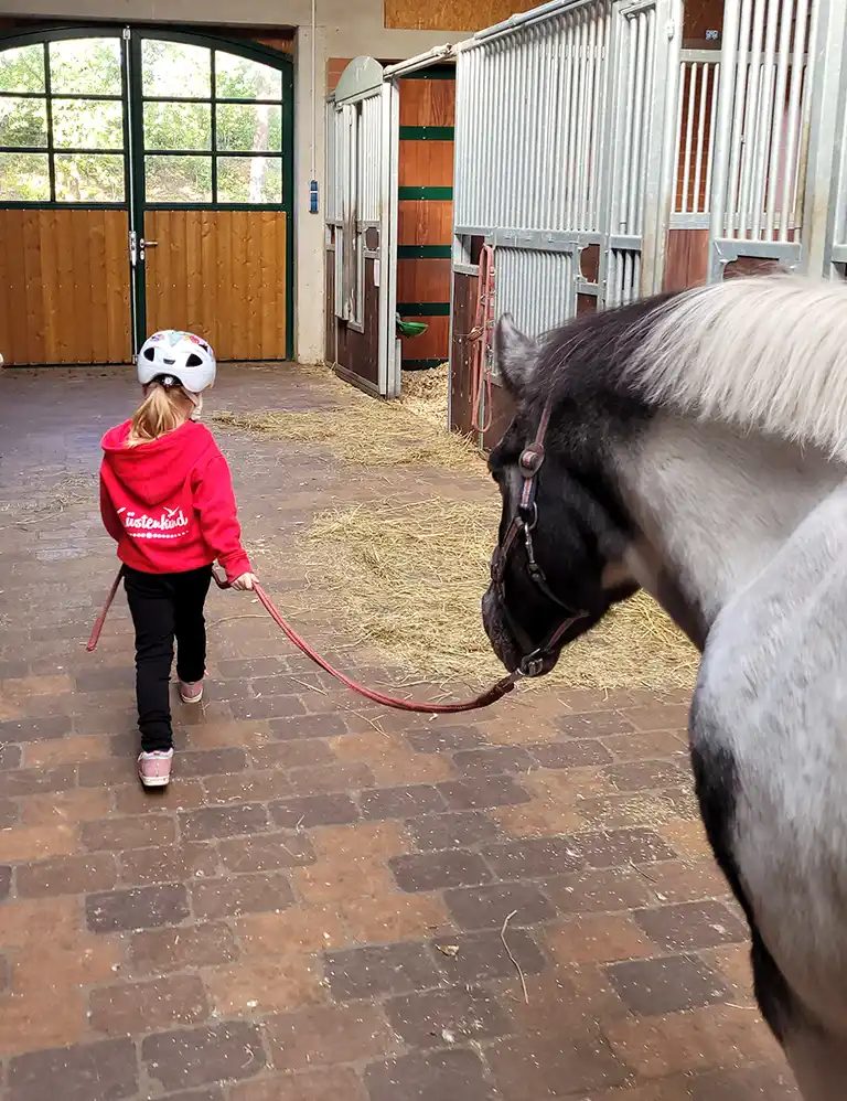 zu den Ponys! Kind im roten Shirt führt ein Pferd durch die Stallgasse im Reiterhof