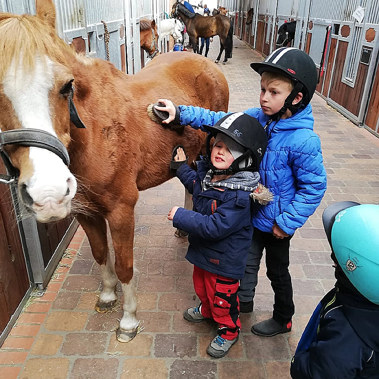 Kinder mit Reithelmen striegeln ein Pony im Stall des Südsee-Camps. Mit viel Freude und Konzentration pflegen sie das Fell des Tieres – ein erlebnisreiches Ferienangebot für Familien mit Kindern.