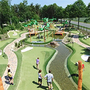 Jungle golf Jungle golf