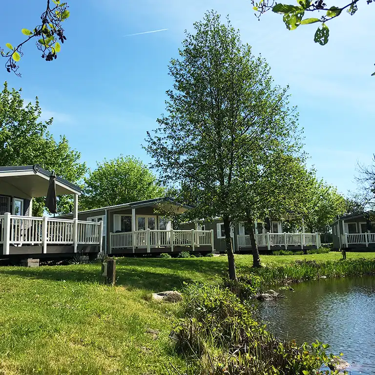 Chalets ansehen Moderne Chalets mit Holzveranda am Biotop zwischen Bäumen und Grünflächen