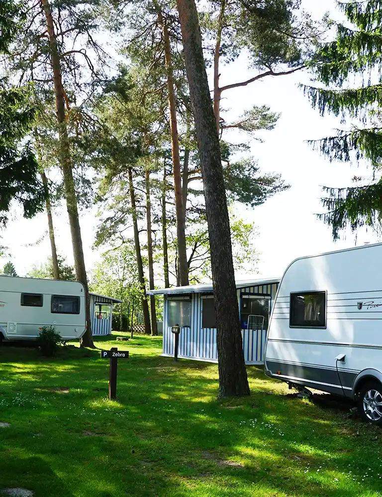Learn more Two white rental caravans are situated on a grassy area under tall pine trees at Südsee-Camp. Both caravans have fixed blue-and-white striped awnings. A sign in the foreground reads “Zebra.”